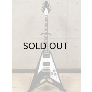 画像1: Edwards　E-FV-LTD BK [Black]