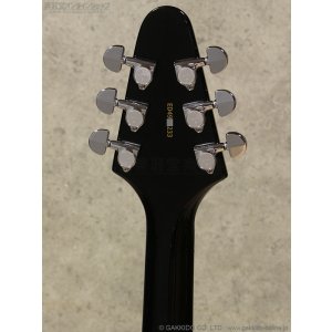 画像8: Edwards　E-FV-LTD BK [Black]