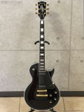 Edwards　E-LP-CTM/P BK [Black]