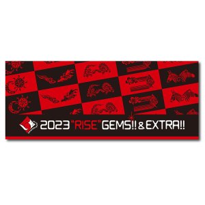 画像1: 2023“RISE”GEMS!!&EXTRA!!　Face Towel フェイスタオル