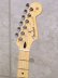 画像5: Fender　Player Stratocaster HSS [Silver] (5)