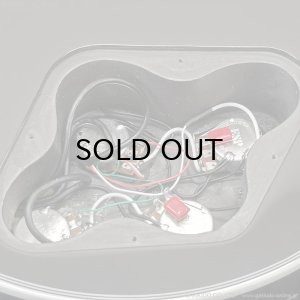 画像11: Edwards　E-LP-CTM “All Mahogany” BK [Black] [当店オリジナルモデル]