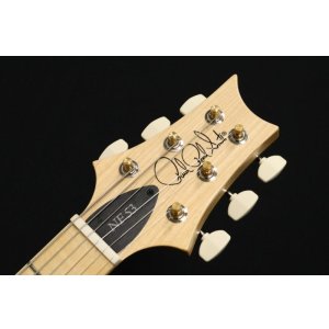 画像7: Paul Reed Smith (PRS)　NF 53 [White Doghair] 2024
