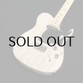 Paul Reed Smith (PRS)　NF 53 [White Doghair] 2024