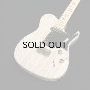 画像1: Paul Reed Smith (PRS)　NF 53 [White Doghair] 2024