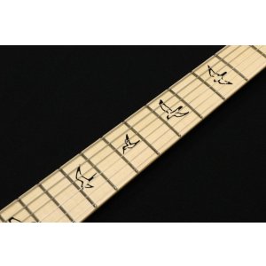 画像6: Paul Reed Smith (PRS)　NF 53 [White Doghair] 2024
