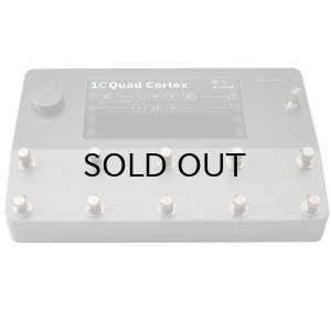 画像1: Neural DSP　Quad Cortex アンプシミュレーター