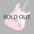 Paul Reed Smith (PRS)　SILVER SKY Rosewood [Roxy Pink]