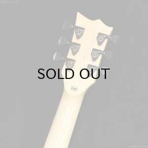 画像8: Edwards　E-VIPER-1H ABK [Alternative Black]