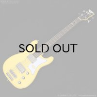 Epiphone　Newport Bass [Sunset Yellow]
