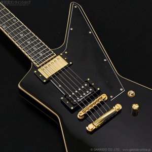 画像4: Edwards E-EP 猪狩秀平 シグネチャーモデル