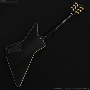 画像10: GrassRoots G-EP 猪狩秀平 シグネチャーモデル 【チョイキズ特価品】