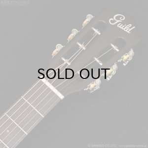 画像5: Guild　P-240 MEMOIR