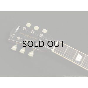 画像5: Edwards　E-LP-STD GO [Gold]