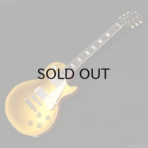 画像1: Edwards　E-LP-STD GO [Gold]