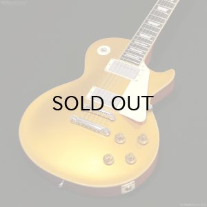 画像2: Edwards　E-LP-STD GO [Gold]