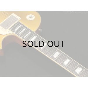 画像4: Edwards　E-LP-STD GO [Gold]