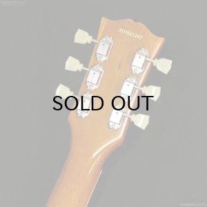 画像6: Edwards　E-LP-STD GO [Gold]