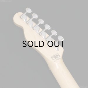 画像8: SCHECTER　PA-LS/TK [Blonde]