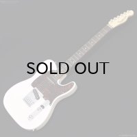 SCHECTER　PA-LS/TK [Blonde]