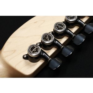 画像8: SAITO GUITARS S-624 HSH [Dawn]