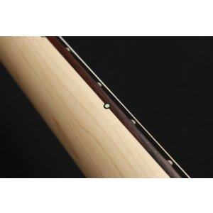 画像9: SAITO GUITARS S-624 HSH [Dawn]