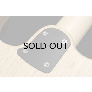 画像8: SAITO GUITARS S-622 [Kannagi]