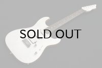 SAITO GUITARS S-622 [White Granite]