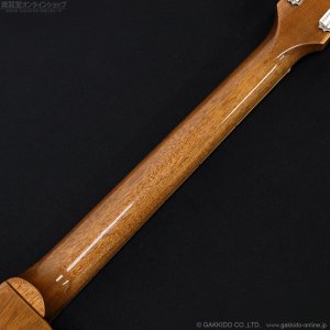 画像8: Gibson　Les Paul Standard 50s Plain Top [Pelham Blue Top] [半期決算セール特価]