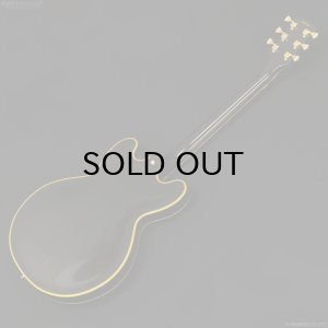 画像11: Edwards　E-SA-CTM [Black]