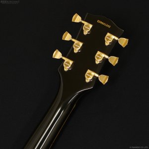 画像9: Edwards　E-SA-CTM [Black]