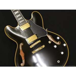 画像3: Edwards　E-SA-CTM [Black]