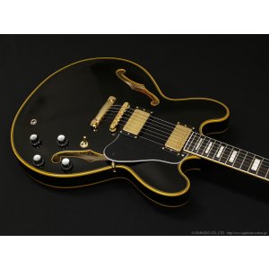画像6: Edwards　E-SA-CTM [Black]