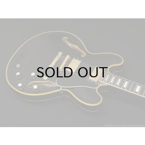 画像6: Edwards　E-SA-CTM [Black]