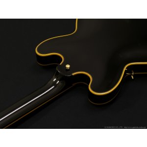 画像10: Edwards　E-SA-CTM [Black]