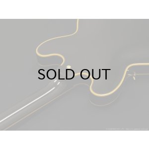 画像10: Edwards　E-SA-CTM [Black]