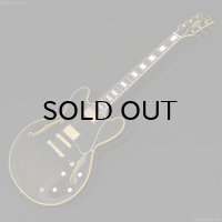 Edwards　E-SA-CTM [Black]