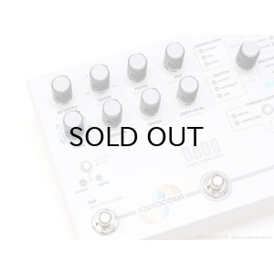 画像4: Hologram Electronics Microcosm 直輸入品