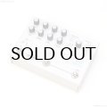 Hologram Electronics　Microcosm 直輸入品
