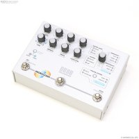 Hologram Electronics　Microcosm 直輸入品
