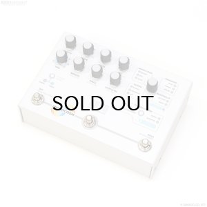 画像1: Hologram Electronics Microcosm 直輸入品