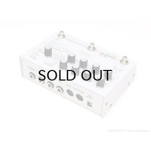 画像2: Hologram Electronics Microcosm 直輸入品