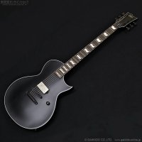 LTD　EC-201 [Black Stain]