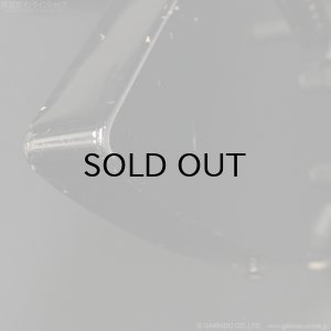 画像10: ESP　1999 MX-250 James Hetfield Signature [中古品]