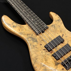 画像6: Sadowsky NYC　2007 Special Order Model - 24-Fret 5-String [中古品]