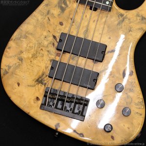 画像5: Sadowsky NYC　2007 Special Order Model - 24-Fret 5-String [中古品]