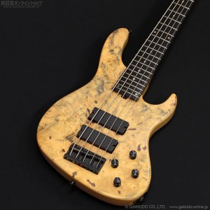 画像3: Sadowsky NYC　2007 Special Order Model - 24-Fret 5-String [中古品]