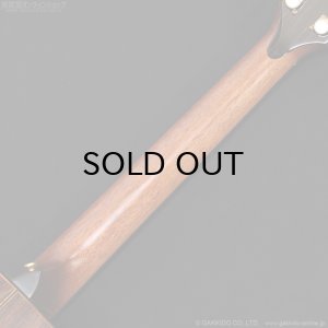 画像11: Taylor　2017 914ce SB [中古品]