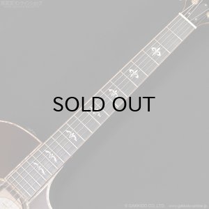 画像10: Taylor　2017 914ce SB [中古品]