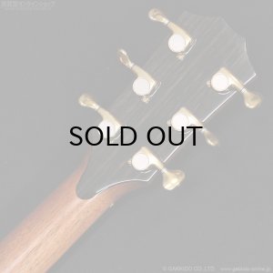 画像13: Taylor　2017 914ce SB [中古品]